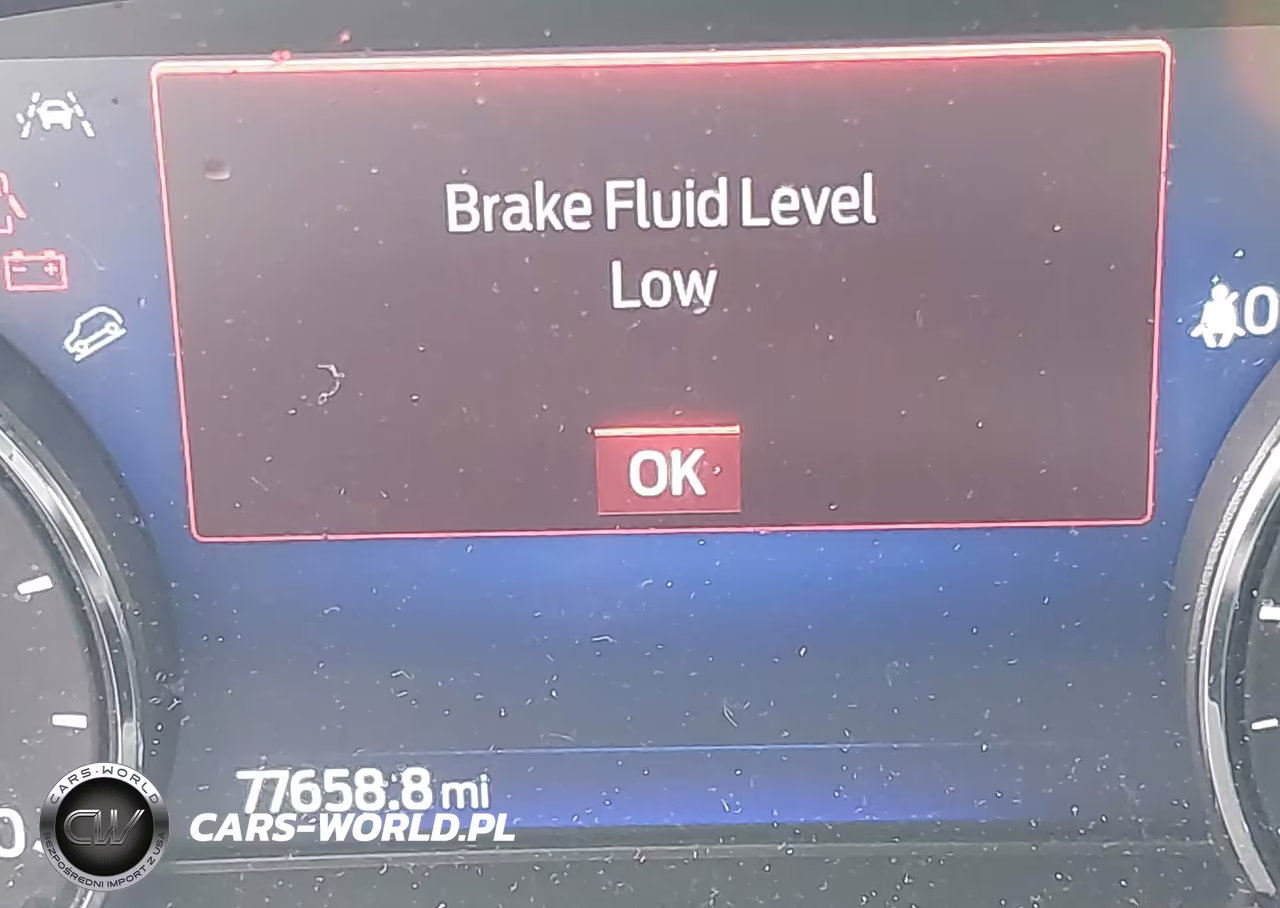 2021 Ford Escape Se Hybrid VIN:1FMCU0BZ5MUA37245 - 16