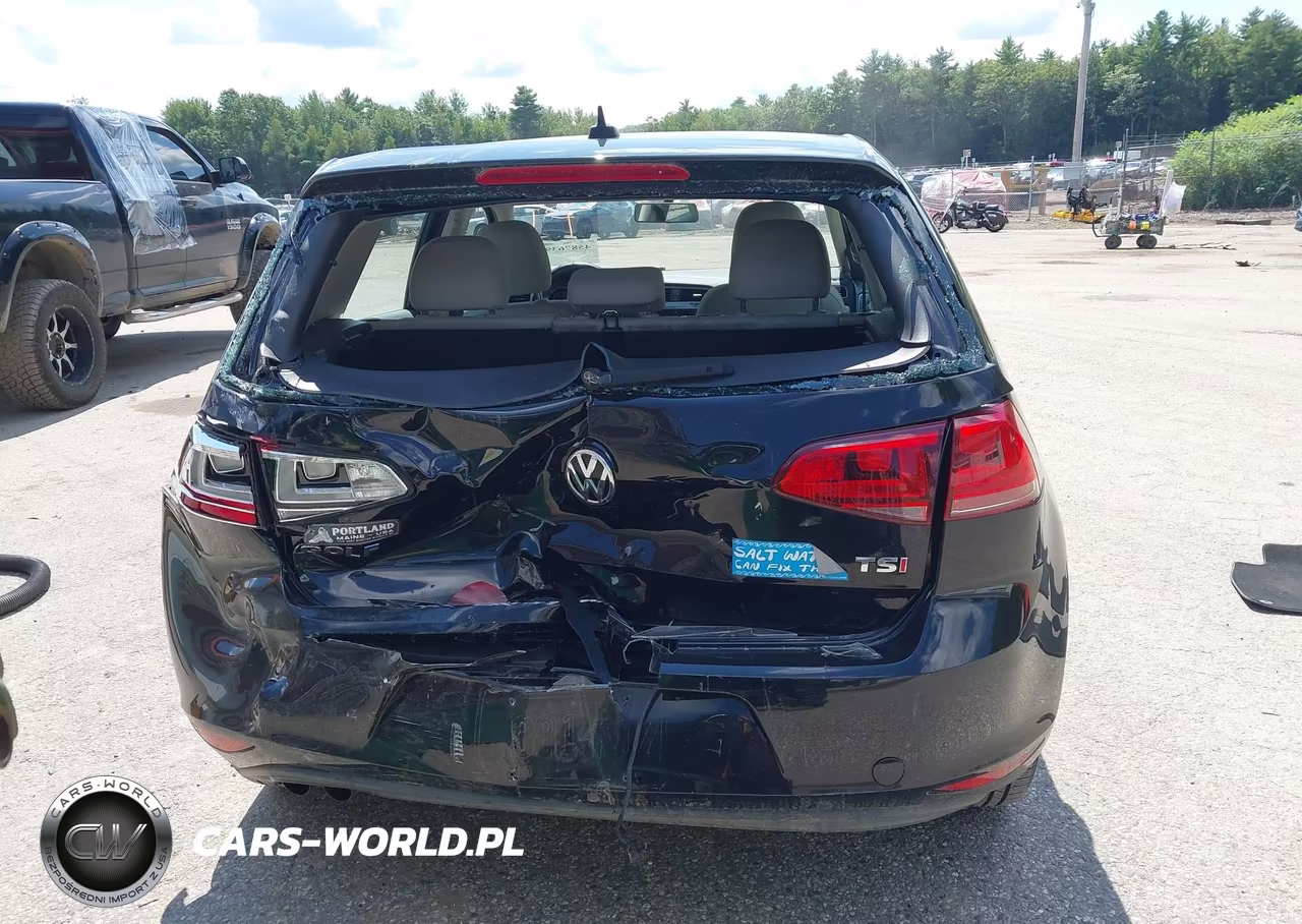 2016 Volkswagen Golf Tsi S 4-Door VIN:3VW217AU2GM029181 - 16
