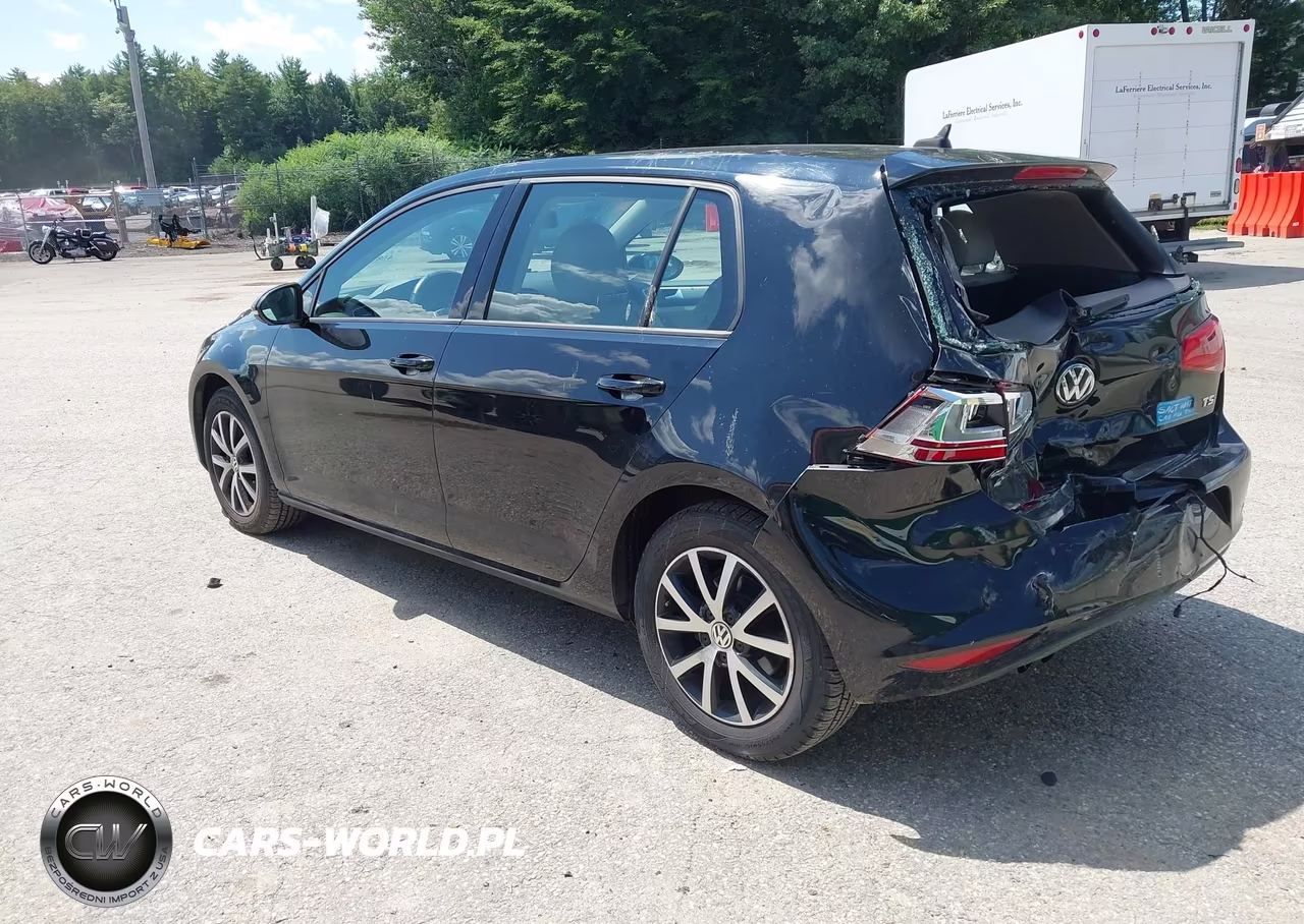 2016 Volkswagen Golf Tsi S 4-Door VIN:3VW217AU2GM029181 - 3