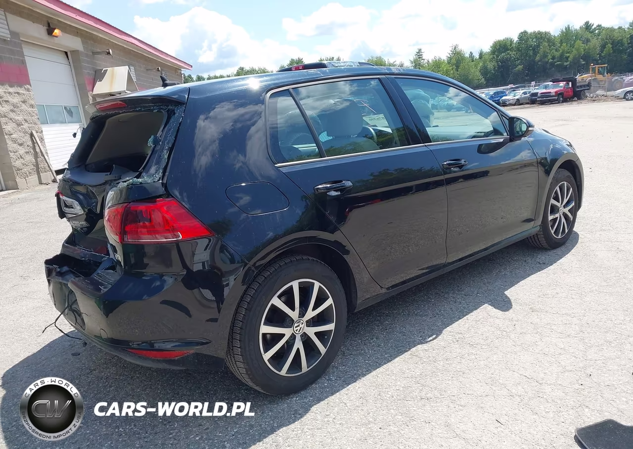 2016 Volkswagen Golf Tsi S 4-Door VIN:3VW217AU2GM029181 - 4