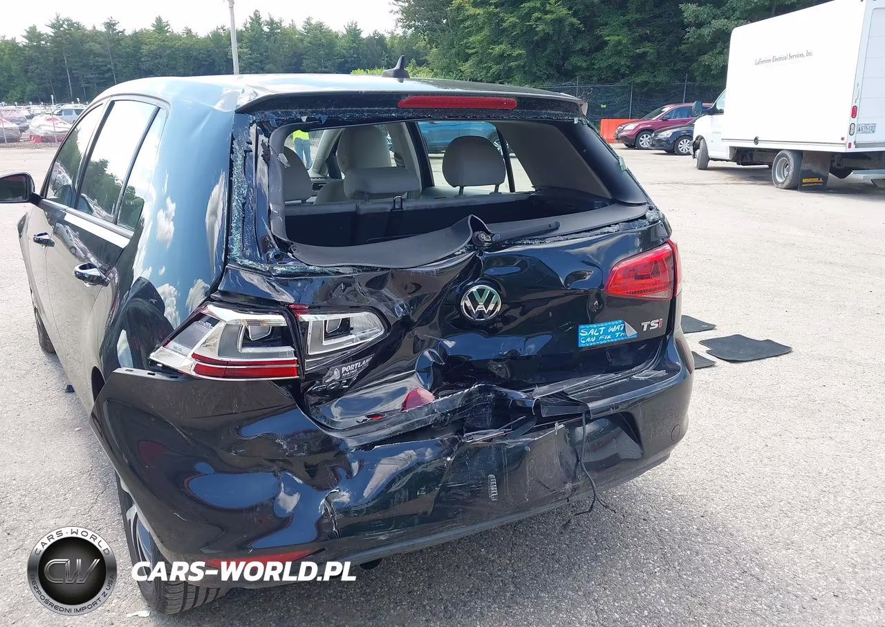 2016 Volkswagen Golf Tsi S 4-Door VIN:3VW217AU2GM029181 - 6