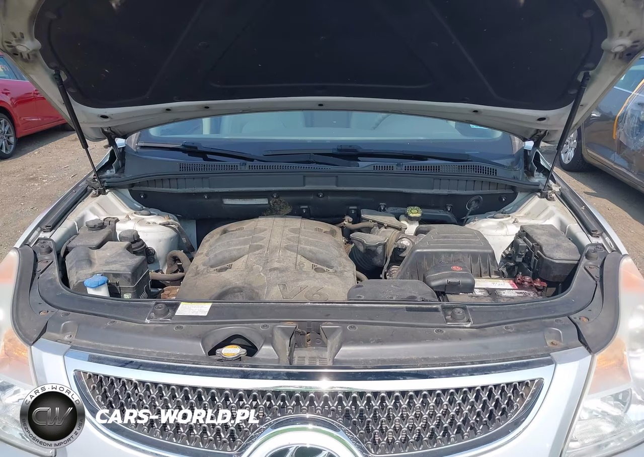 2008 Hyundai Veracruz Gls-Limited-Se VIN:KM8NU13C18U076803 - 10