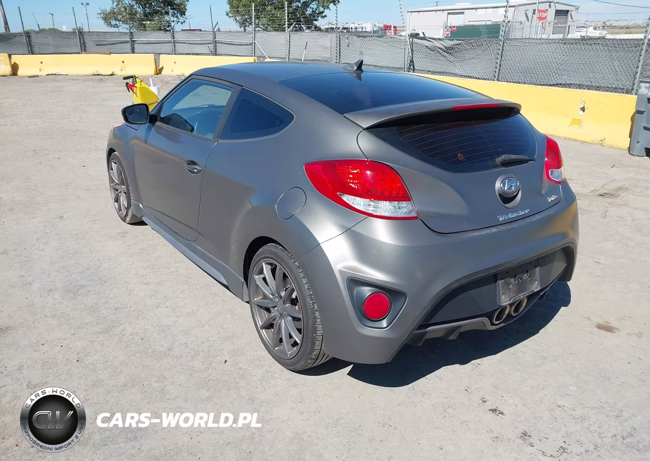 2016 Hyundai Veloster Turbo VIN:KMHTC6AE4GU266301 - 3