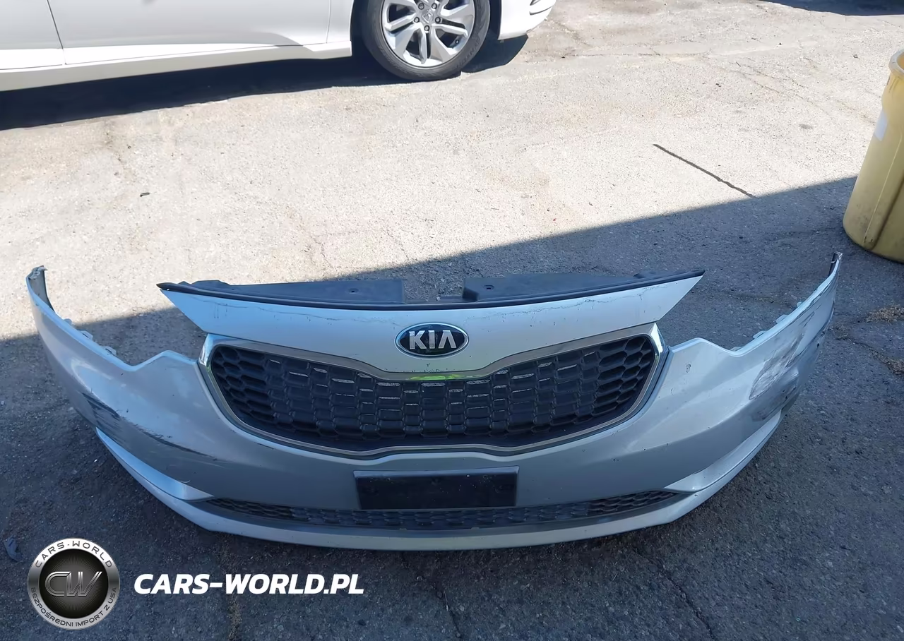 2016 Kia Forte Lx VIN:KNAFK4A66G5449434 - 12
