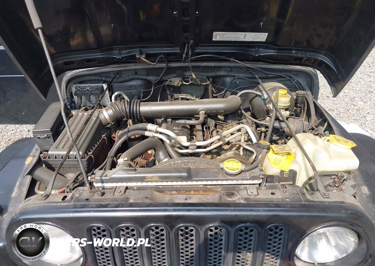 2003 Jeep Wrangler Sahara VIN:1J4FA59S33P318483 - 10