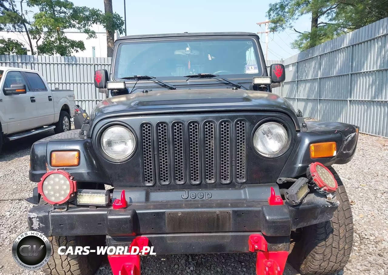 2003 Jeep Wrangler Sahara VIN:1J4FA59S33P318483 - 12