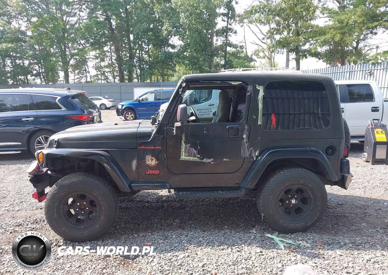 2003 Jeep Wrangler Sahara VIN:1J4FA59S33P318483 - 14