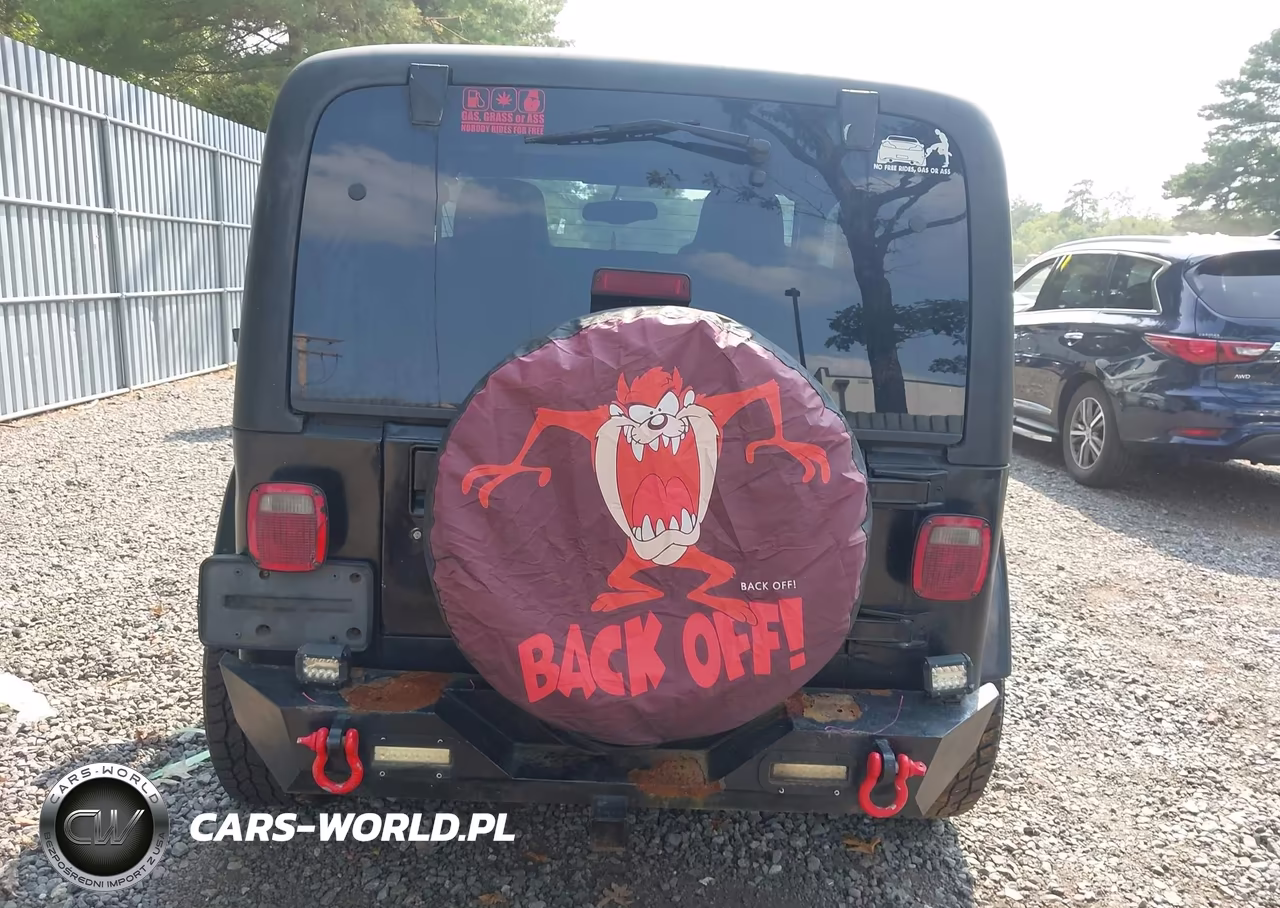 2003 Jeep Wrangler Sahara VIN:1J4FA59S33P318483 - 16