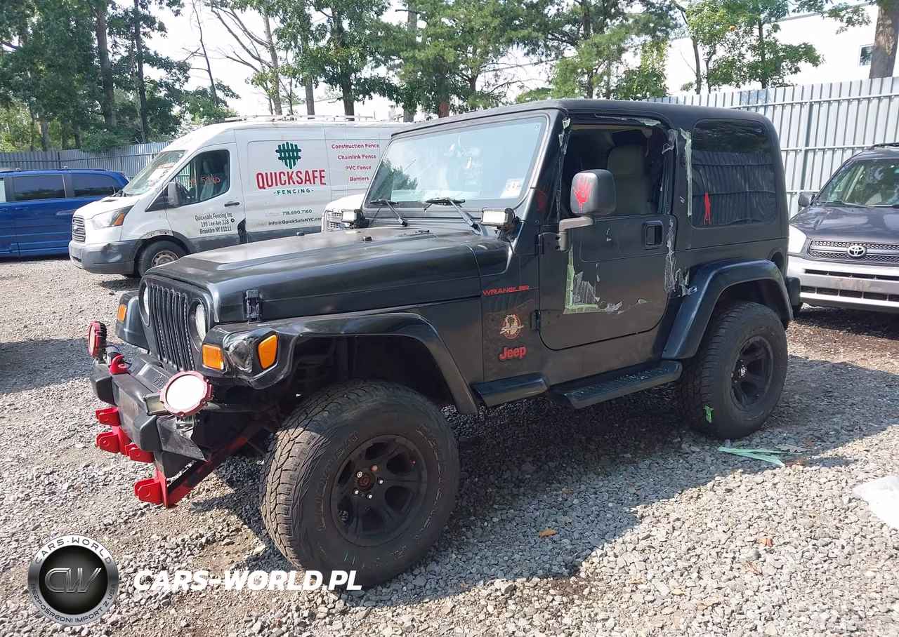 2003 Jeep Wrangler Sahara VIN:1J4FA59S33P318483 - 2