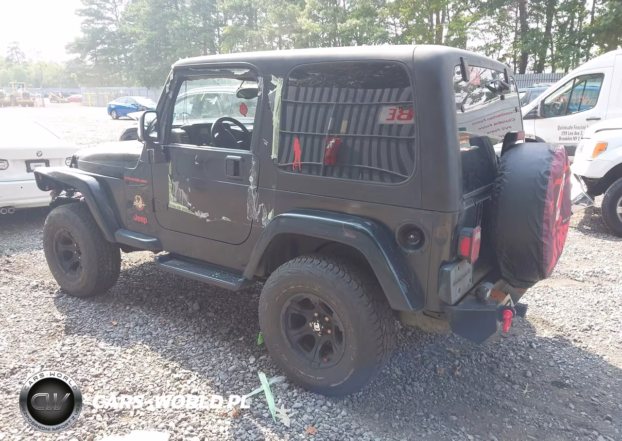 2003 Jeep Wrangler Sahara VIN:1J4FA59S33P318483 - 3