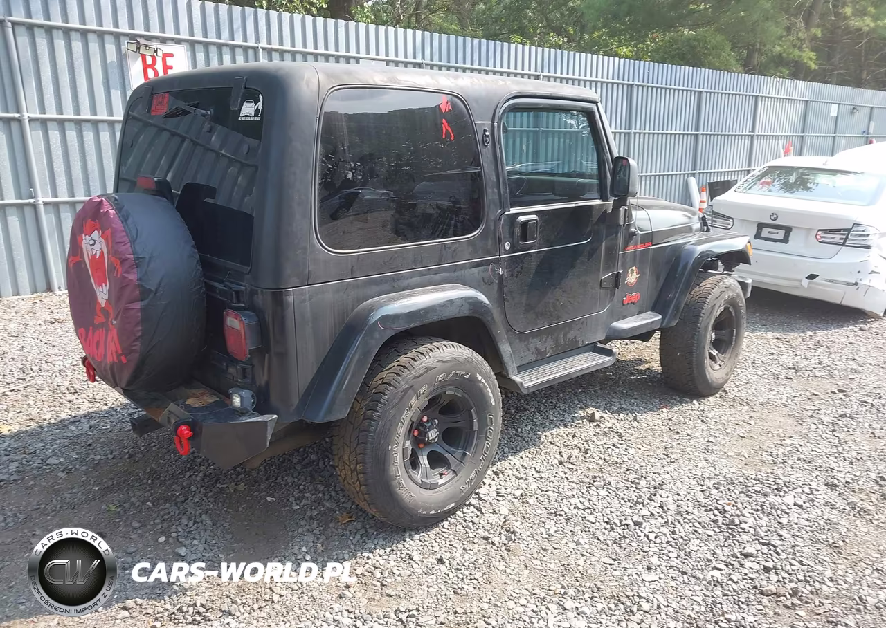 2003 Jeep Wrangler Sahara VIN:1J4FA59S33P318483 - 4