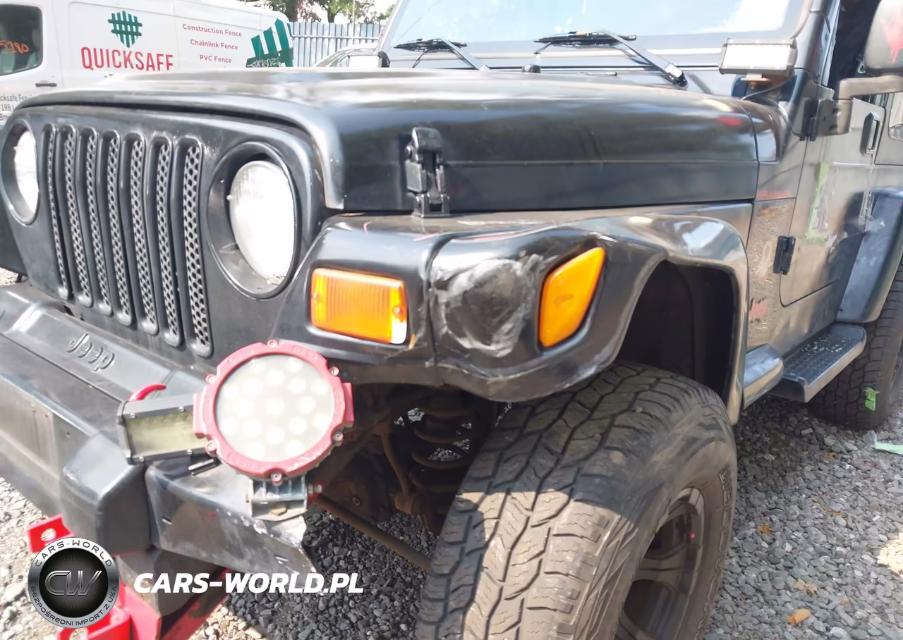 2003 Jeep Wrangler Sahara VIN:1J4FA59S33P318483 - 6