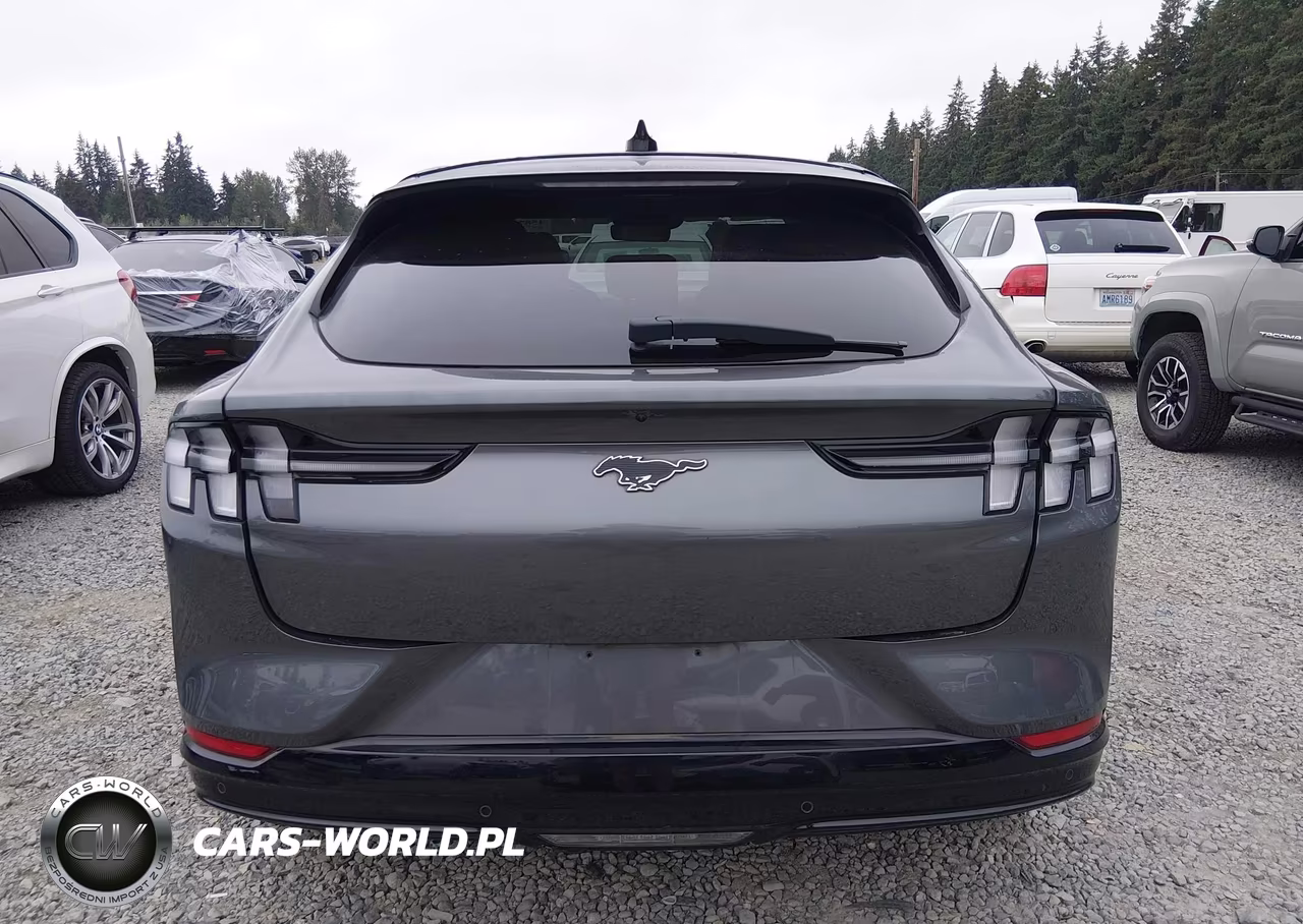 2021 Ford Mustang Mach-E Premium VIN:3FMTK3R71MMA08924 - 17