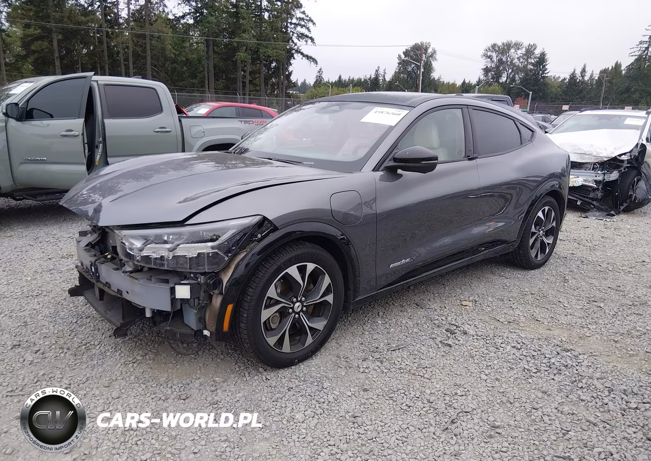 2021 Ford Mustang Mach-E Premium VIN:3FMTK3R71MMA08924 - 2