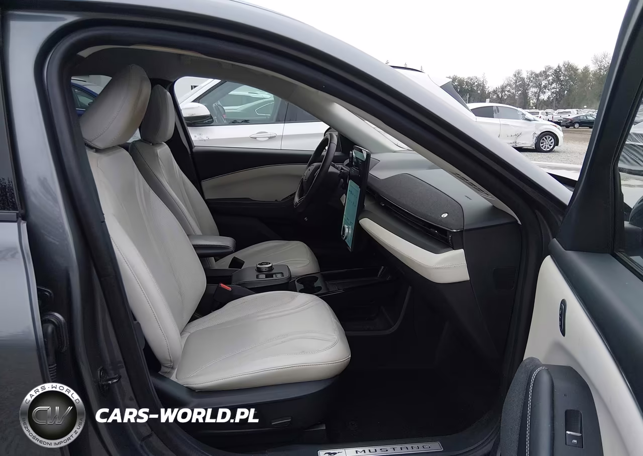 2021 Ford Mustang Mach-E Premium VIN:3FMTK3R71MMA08924 - 20