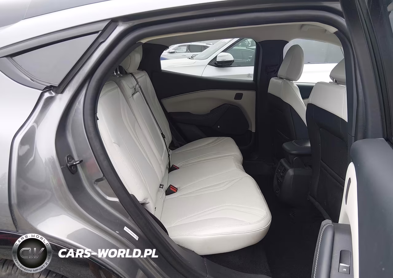 2021 Ford Mustang Mach-E Premium VIN:3FMTK3R71MMA08924 - 21