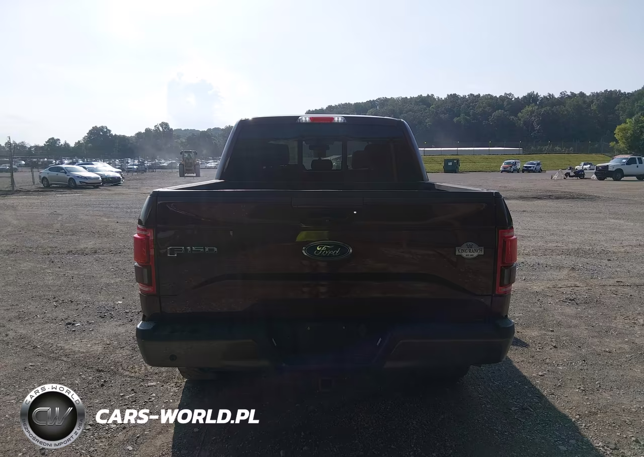 2015 Ford F-150 King Ranch VIN:1FTEW1EF2FFA29061 - 16