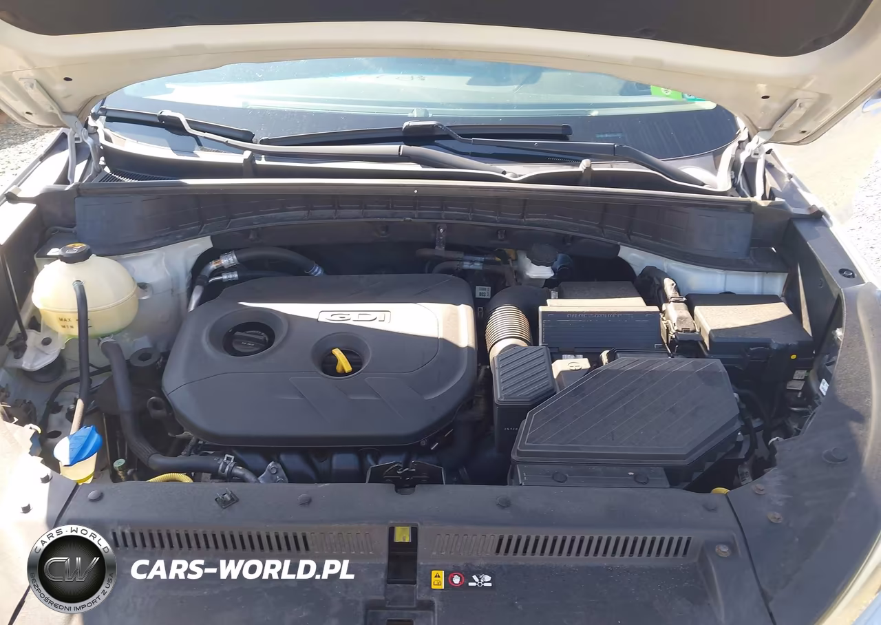 2016 Hyundai Tucson Se VIN:KM8J33A42GU144727 - 10