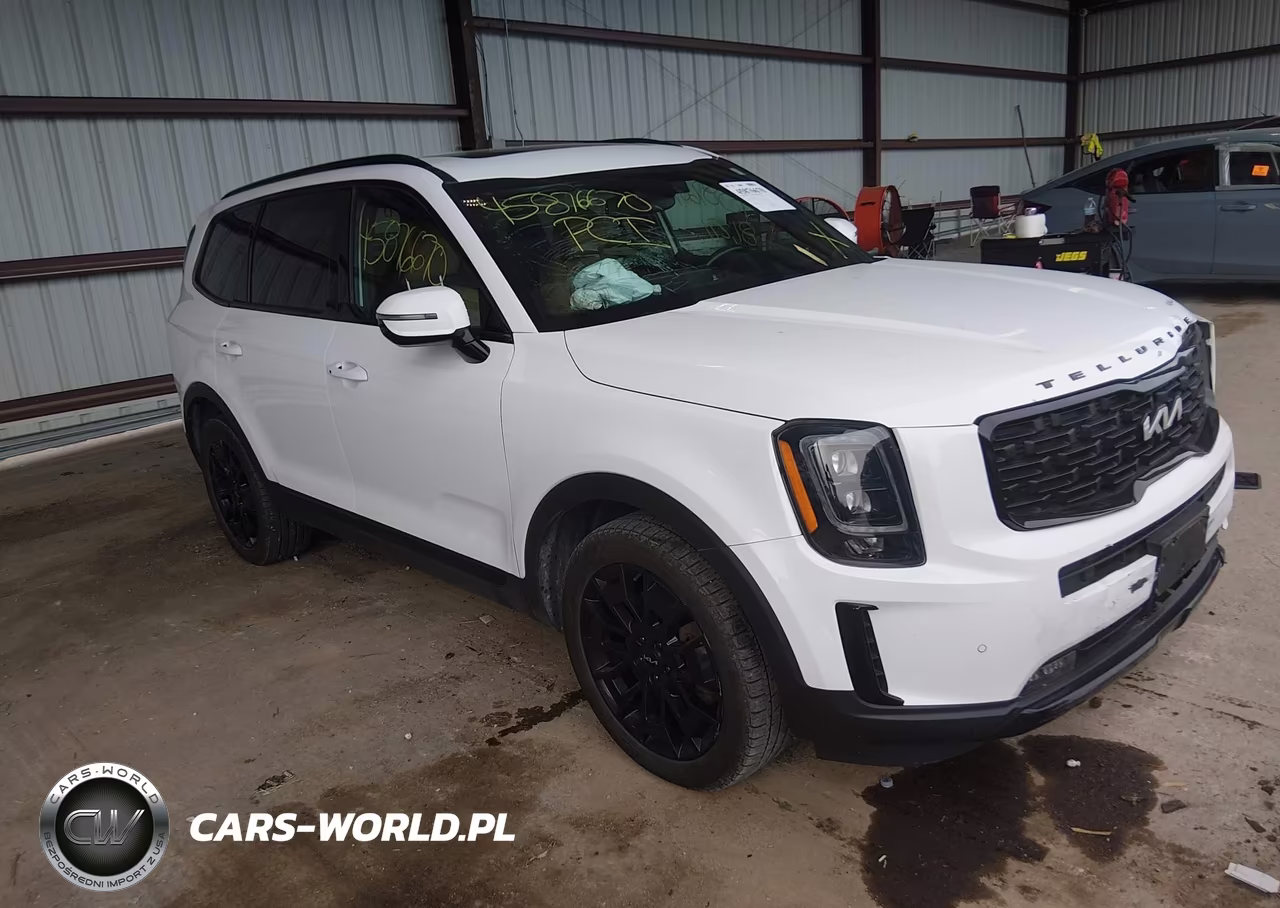 2022 Kia Telluride Sx VIN:5XYP5DHC1NG212347 - 1