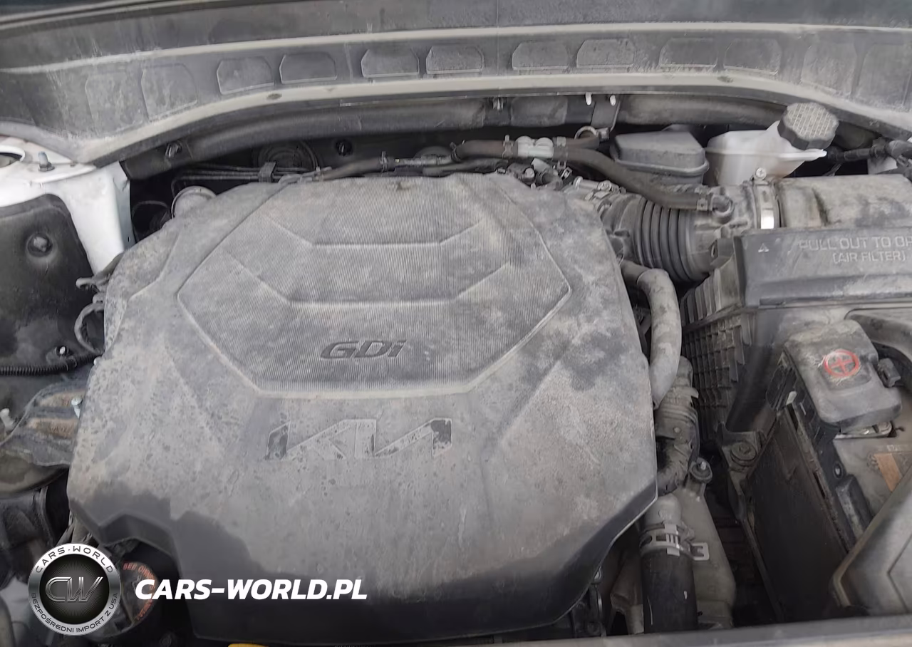 2022 Kia Telluride Sx VIN:5XYP5DHC1NG212347 - 10