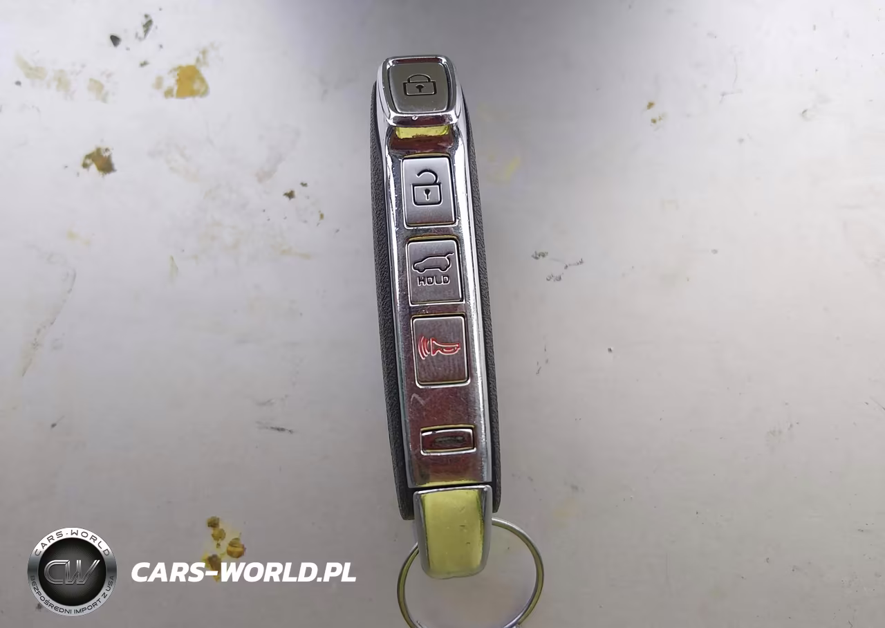 2022 Kia Telluride Sx VIN:5XYP5DHC1NG212347 - 11