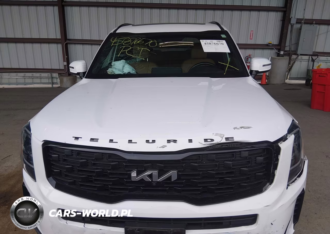 2022 Kia Telluride Sx VIN:5XYP5DHC1NG212347 - 12
