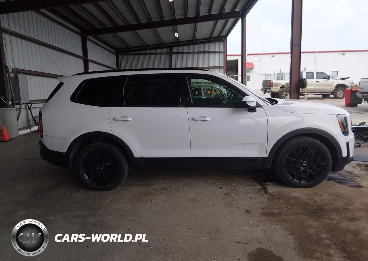 2022 Kia Telluride Sx VIN:5XYP5DHC1NG212347 - 13