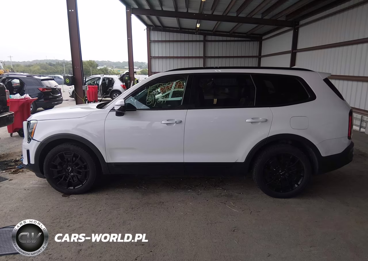 2022 Kia Telluride Sx VIN:5XYP5DHC1NG212347 - 14