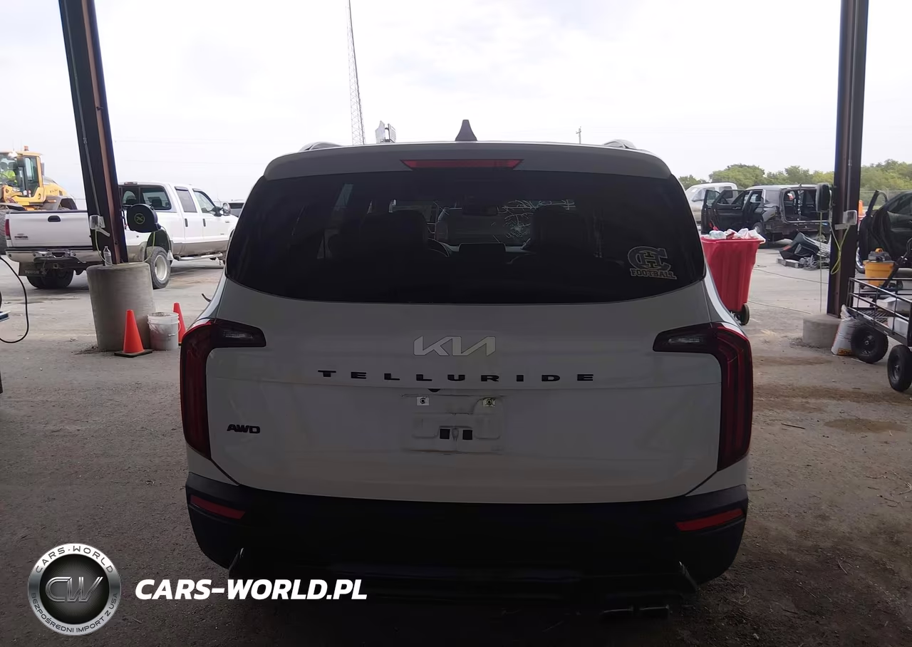 2022 Kia Telluride Sx VIN:5XYP5DHC1NG212347 - 16