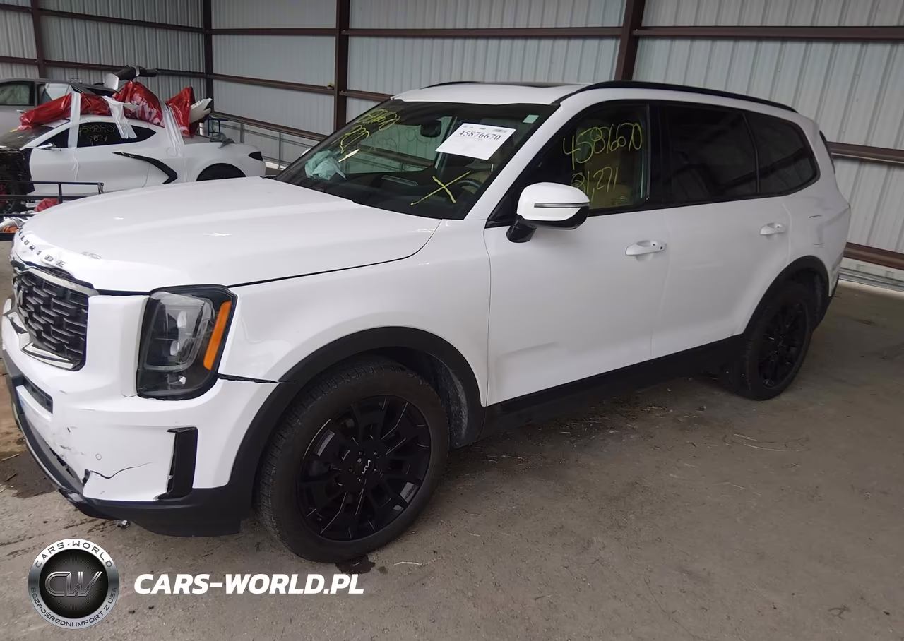 2022 Kia Telluride Sx VIN:5XYP5DHC1NG212347 - 2