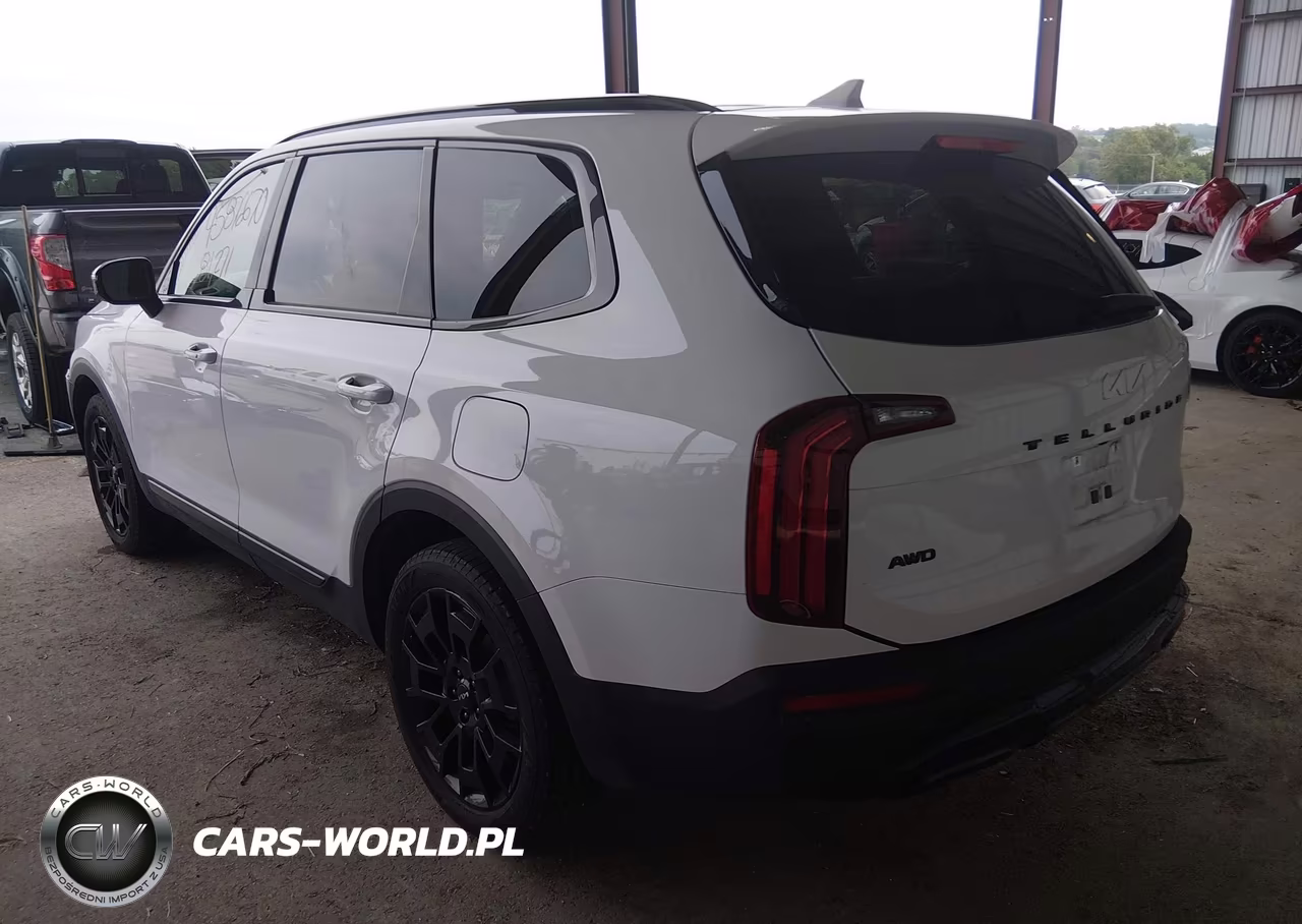 2022 Kia Telluride Sx VIN:5XYP5DHC1NG212347 - 3