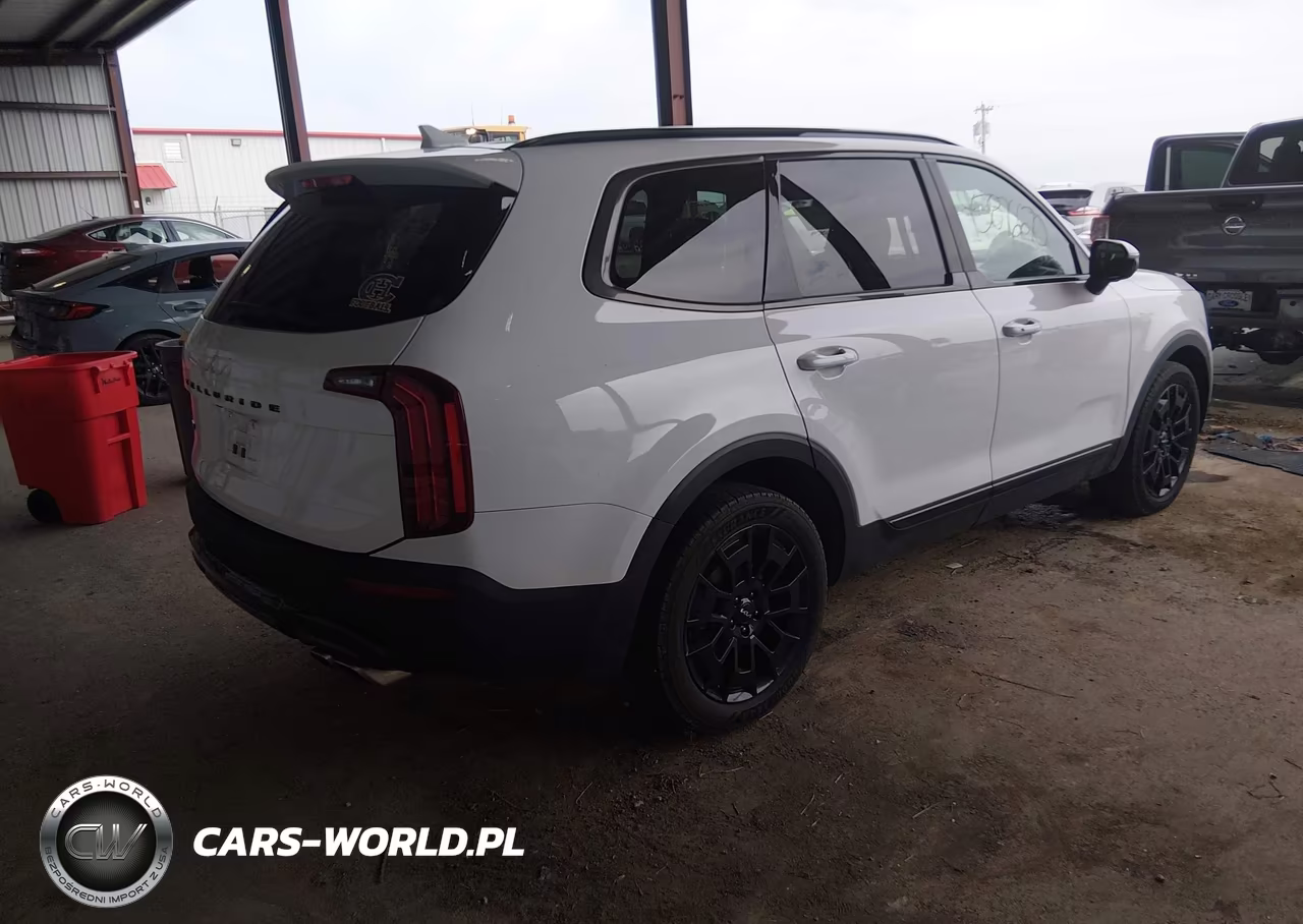 2022 Kia Telluride Sx VIN:5XYP5DHC1NG212347 - 4
