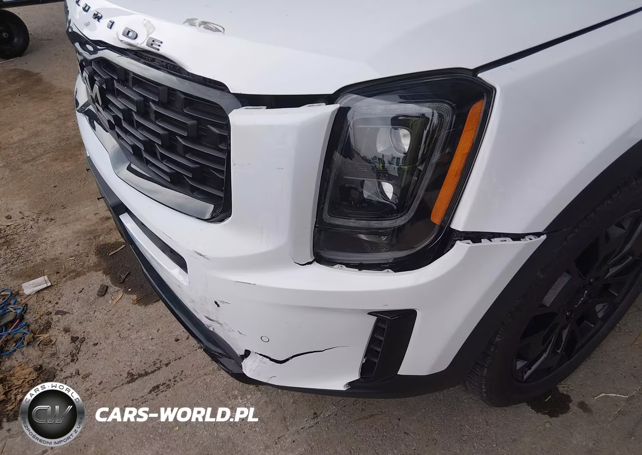 2022 Kia Telluride Sx VIN:5XYP5DHC1NG212347 - 6