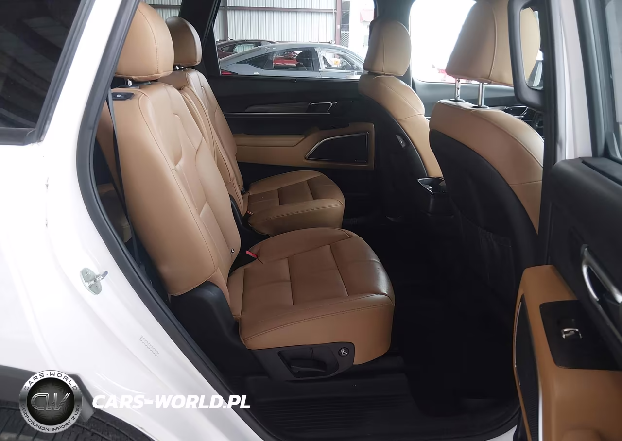 2022 Kia Telluride Sx VIN:5XYP5DHC1NG212347 - 8