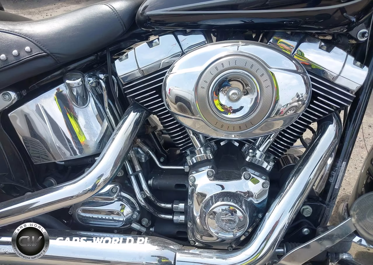 2009 Harley-Davidson Flstc VIN:1HD1BW5159Y044026 - 8
