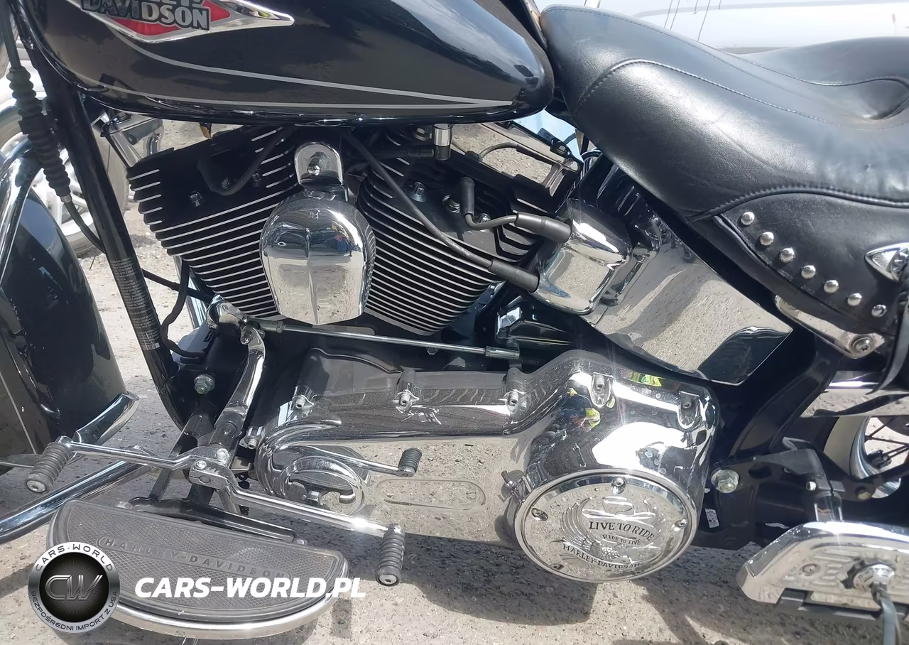 2009 Harley-Davidson Flstc VIN:1HD1BW5159Y044026 - 9
