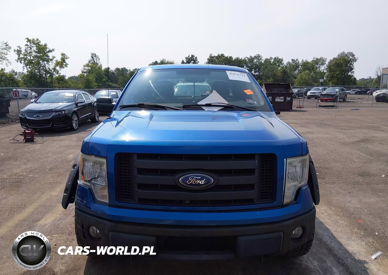 2010 Ford F-150 Stx-Xl VIN:1FTEX1EW5AFB46915 - 12