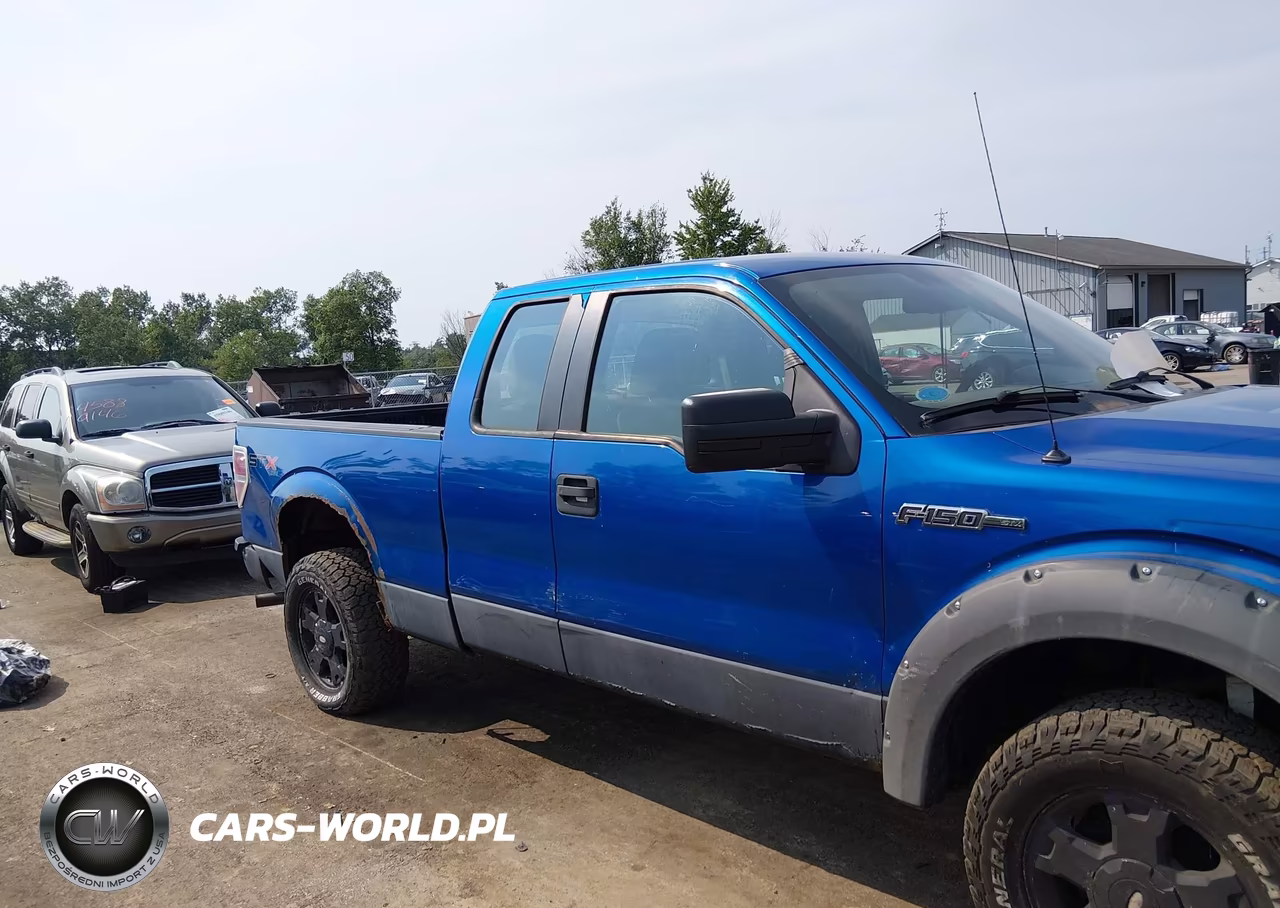 2010 Ford F-150 Stx-Xl VIN:1FTEX1EW5AFB46915 - 13