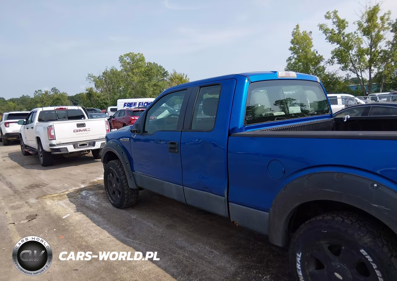 2010 Ford F-150 Stx-Xl VIN:1FTEX1EW5AFB46915 - 14