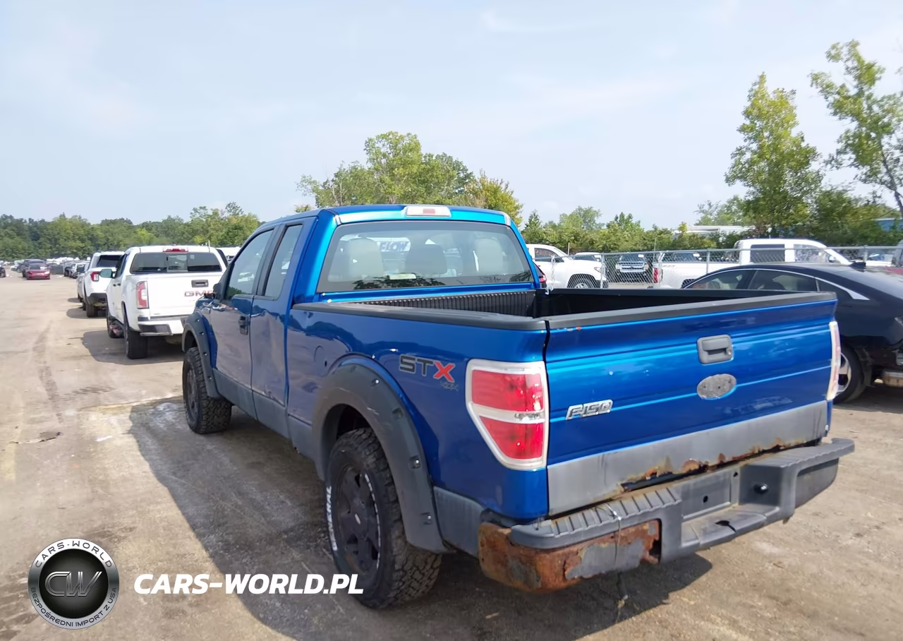 2010 Ford F-150 Stx-Xl VIN:1FTEX1EW5AFB46915 - 3