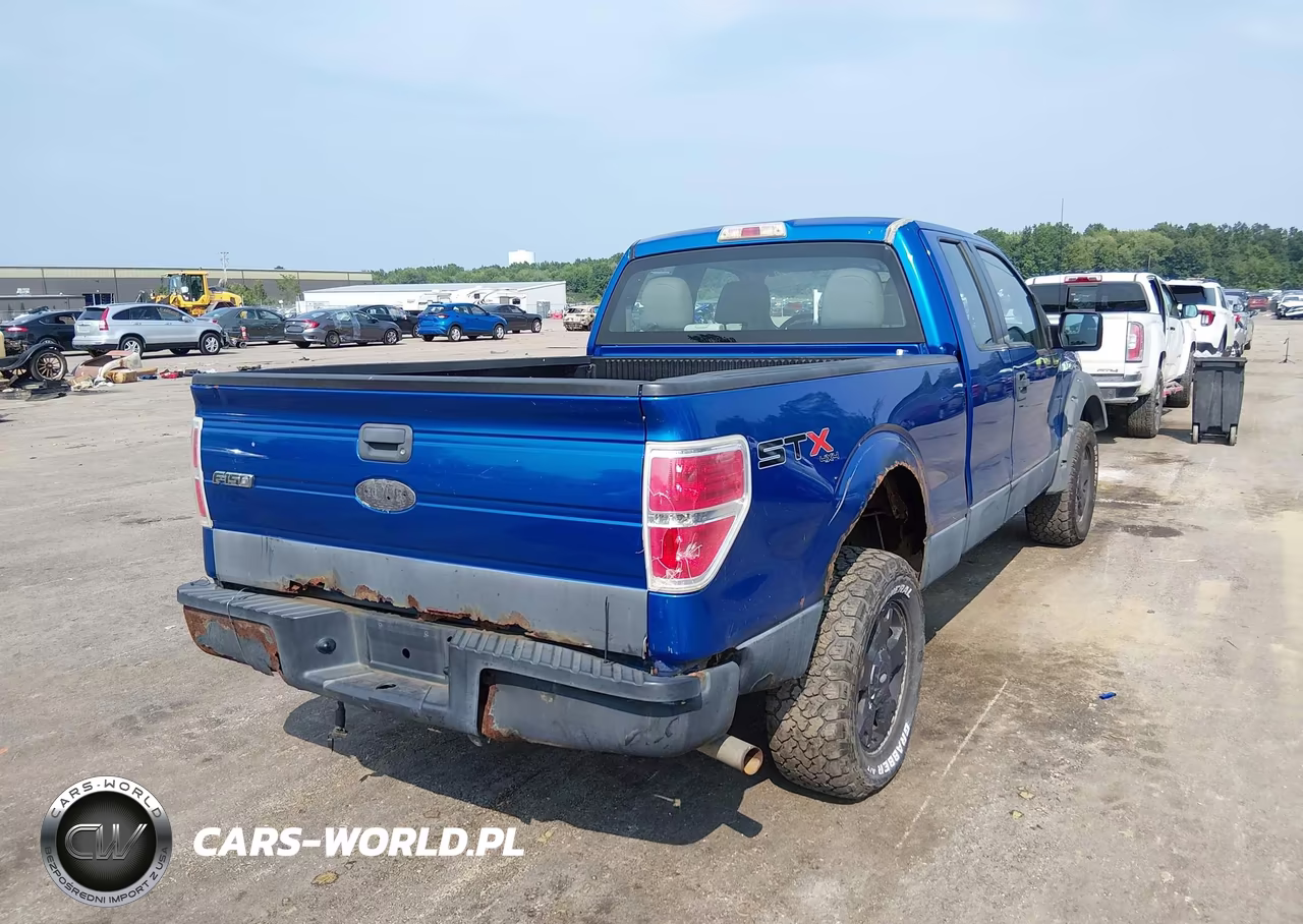 2010 Ford F-150 Stx-Xl VIN:1FTEX1EW5AFB46915 - 4