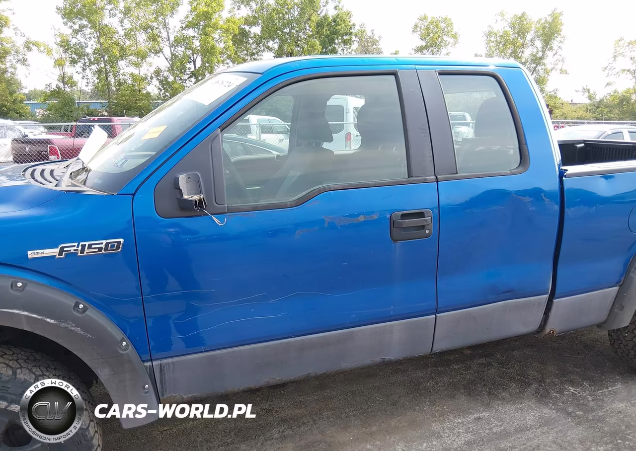 2010 Ford F-150 Stx-Xl VIN:1FTEX1EW5AFB46915 - 6