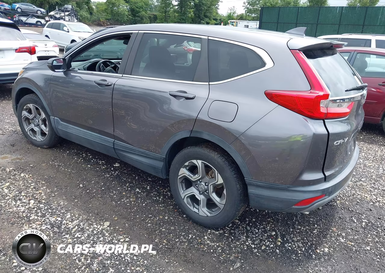 2019 Honda Cr-V Ex VIN:JHLRW2H52KX010902 - 3