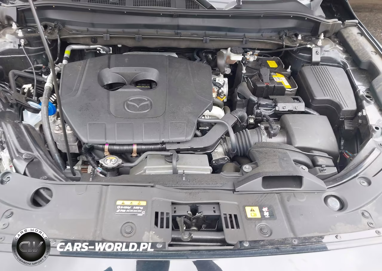 2025 Mazda Cx-5 2.5 S Premium Plus VIN:JM3KFBEM3S0628904 - 10