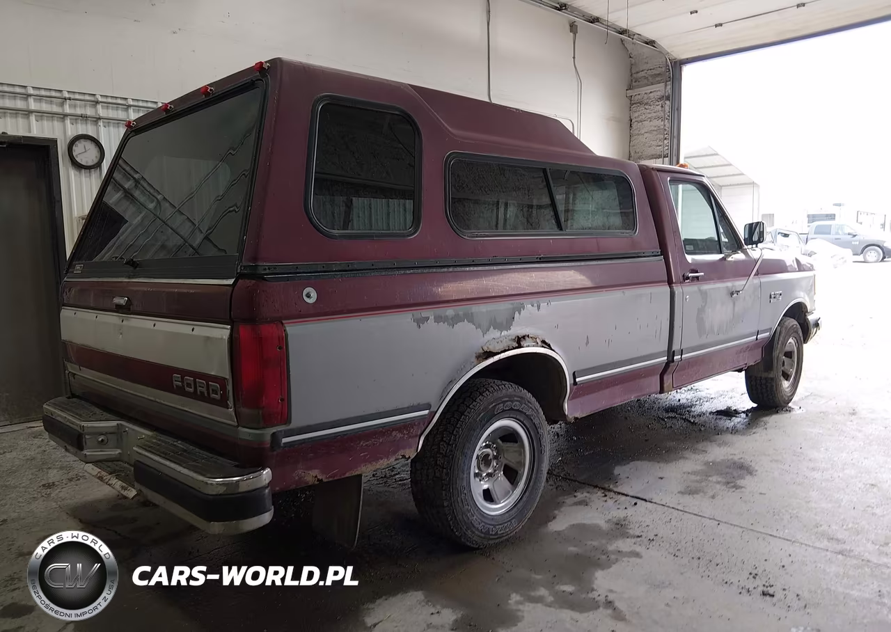 1991 Ford F150 VIN:2FTEF15N3MCA93996 - 4