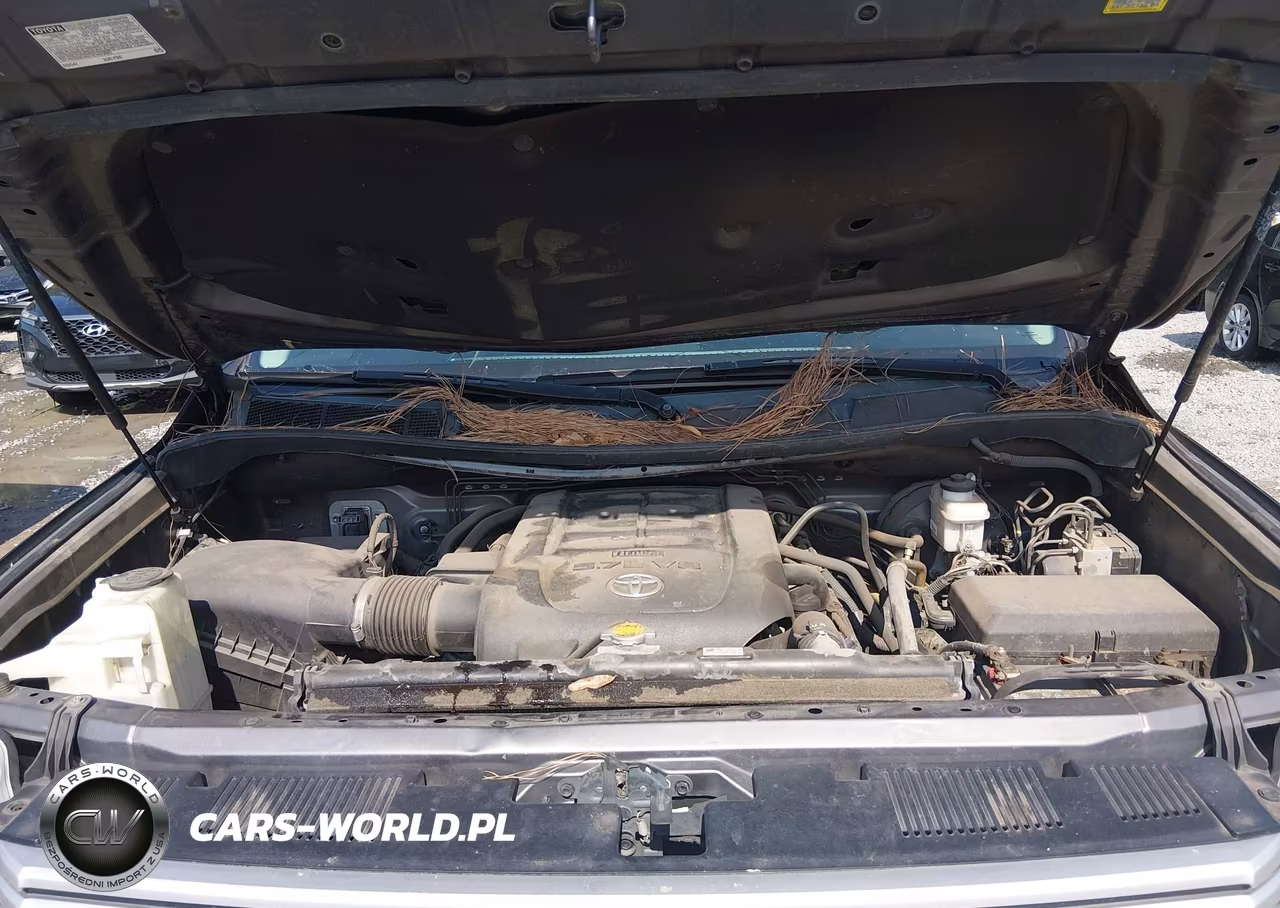 2017 Toyota Tundra Platinum 5.7L V8 VIN:5TFGW5F18HX224873 - 10