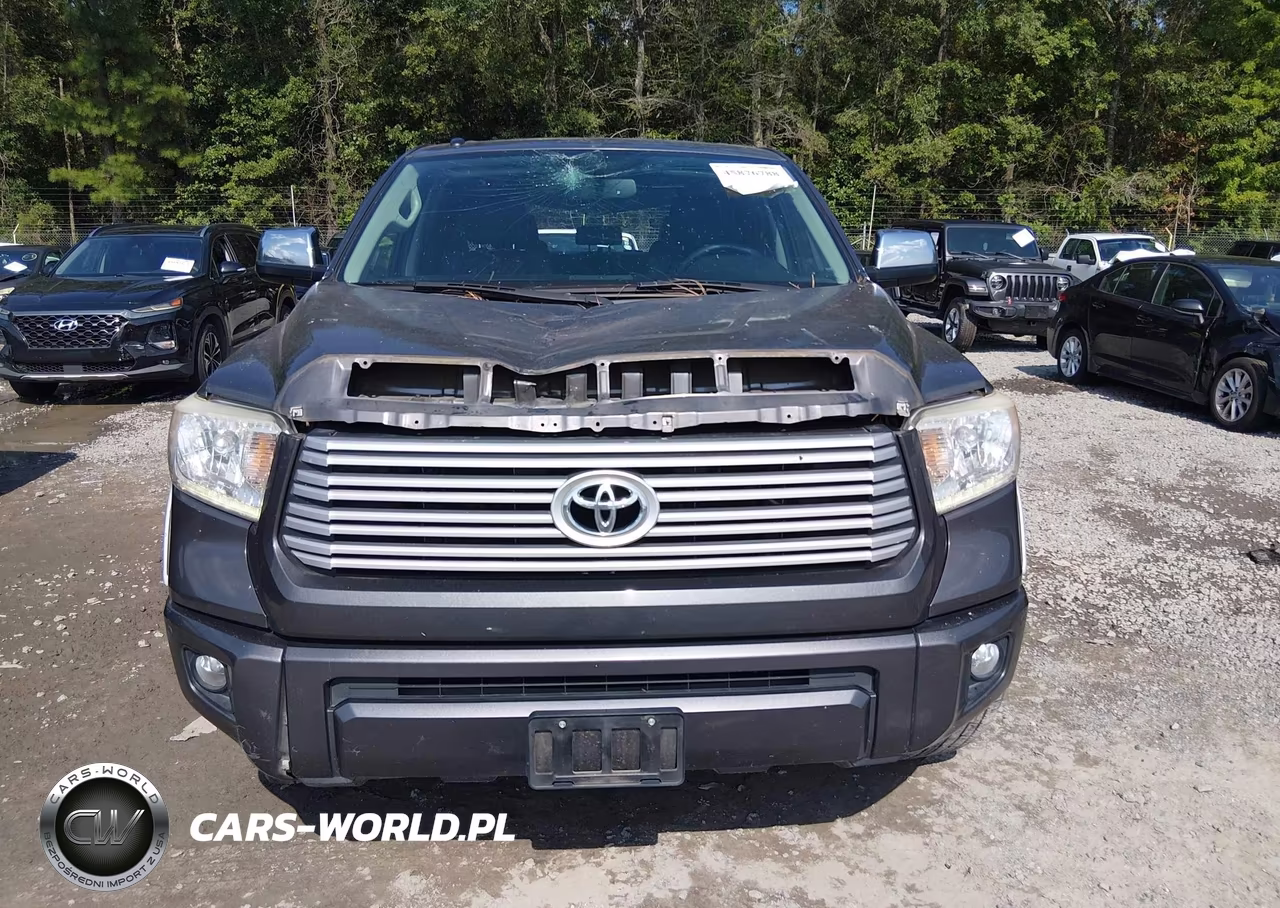 2017 Toyota Tundra Platinum 5.7L V8 VIN:5TFGW5F18HX224873 - 13