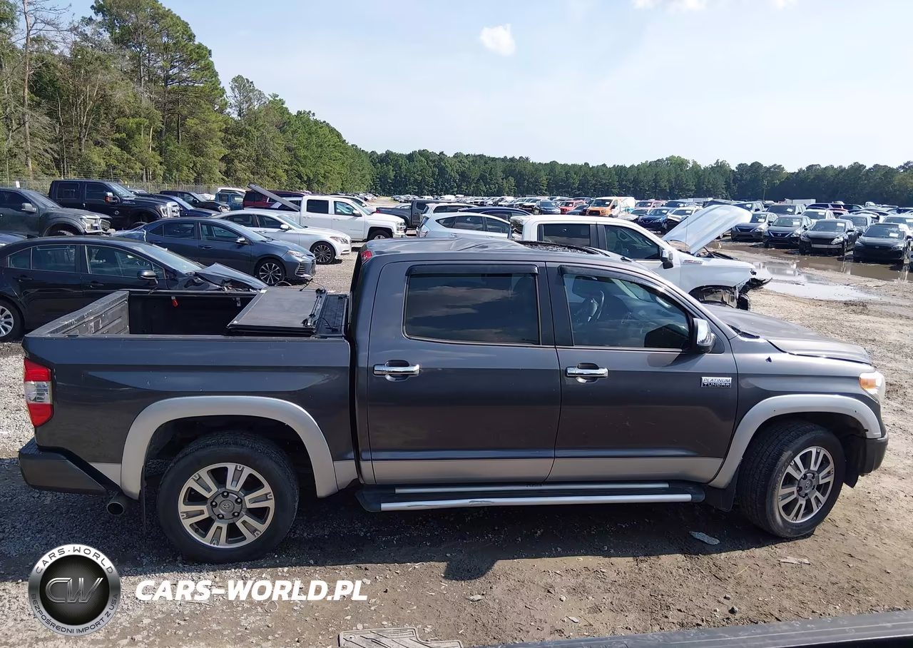 2017 Toyota Tundra Platinum 5.7L V8 VIN:5TFGW5F18HX224873 - 14