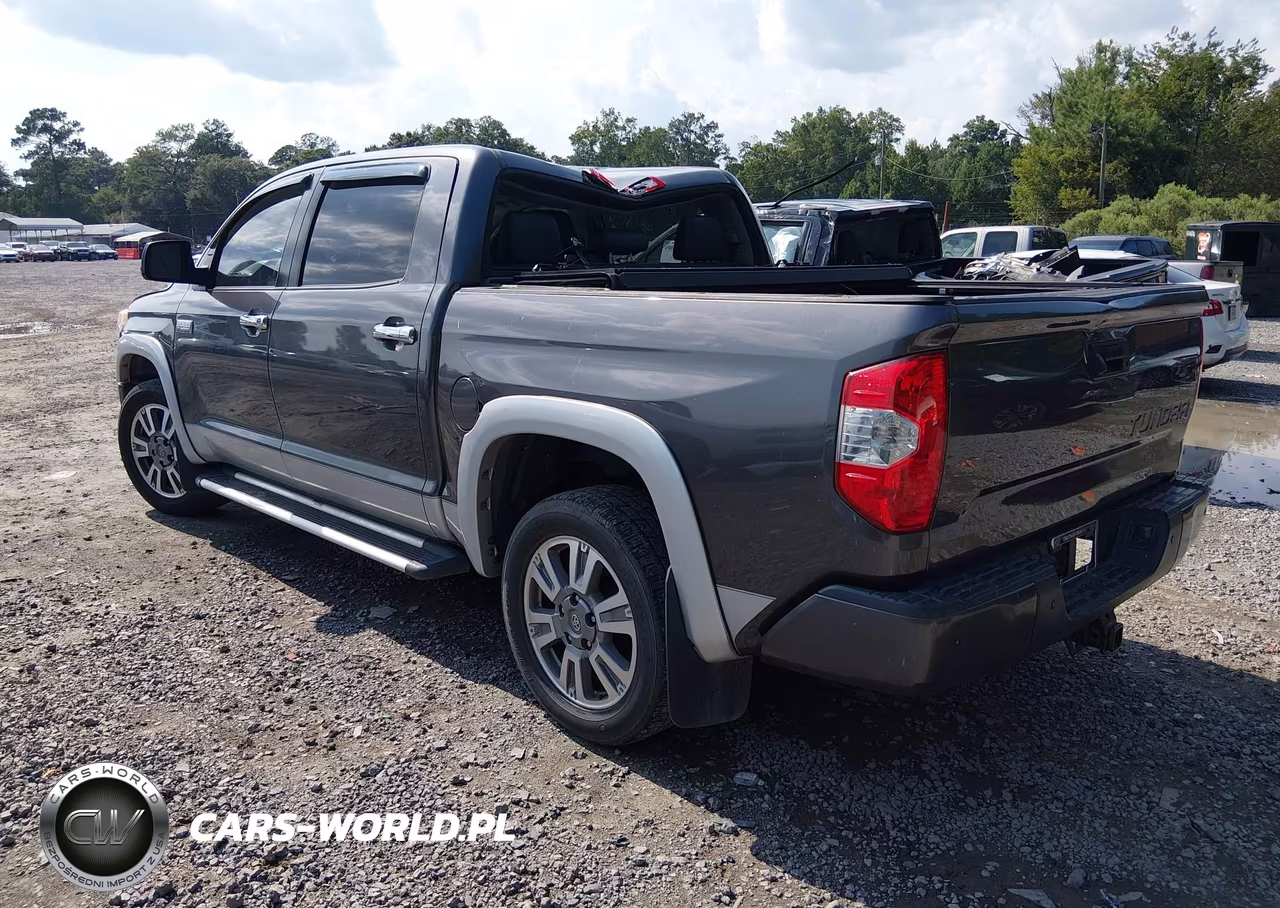 2017 Toyota Tundra Platinum 5.7L V8 VIN:5TFGW5F18HX224873 - 3
