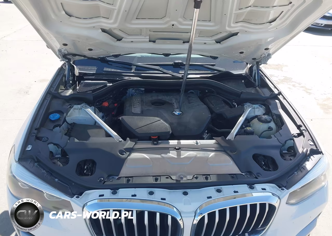 2019 BMW X3 Sdrive30I VIN:5UXTR7C51KLR53318 - 10